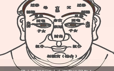男人面相剖析人生富有运程怎么