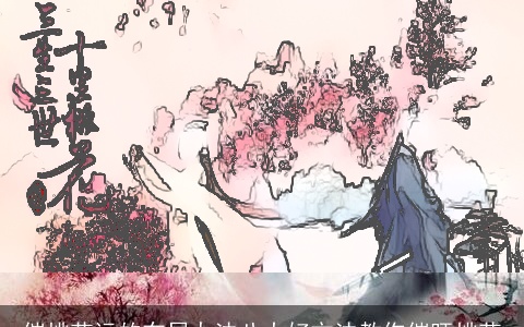 催桃花运的布局办法八大好方法教你催旺桃花