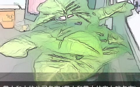 带土和水的公司名字(带土和带水的字女孩名字)