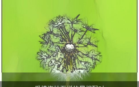 爱情海枯石烂的属相配对