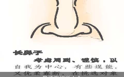 鼻子面相学大全