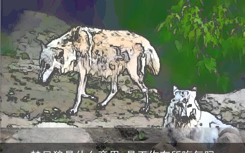 梦见狼是什么意思 是工作有所晦气吗