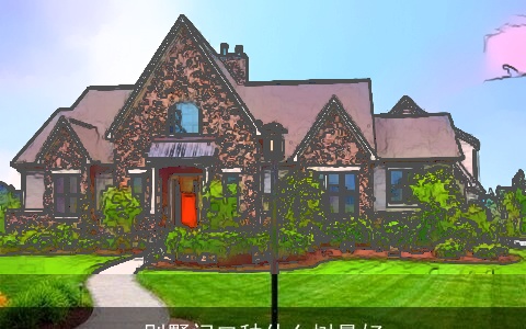 别墅门口种什么树最好