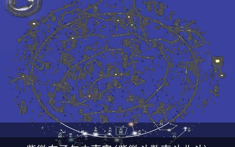 紫微在子午夫妻宫(紫微斗数南斗北斗)