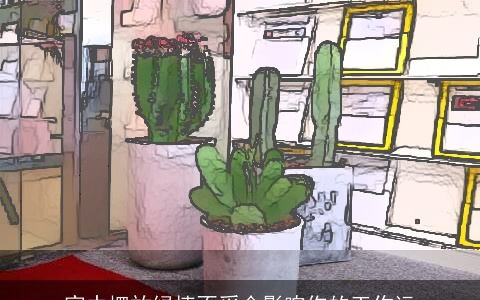 家中摆放绿植不妥会影响你的工作运