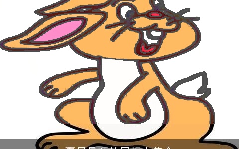 夏日最旺的属相大集合