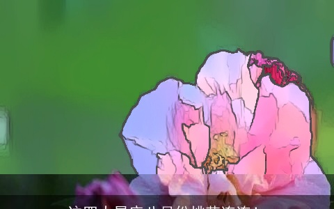 这四大星座八月份桃花连连！