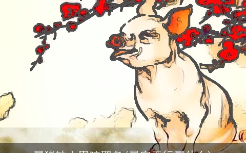 属猪缺土男孩取名(昊字五行属什么)