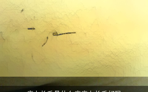 痣上长毛是什么痣痣上长毛好吗