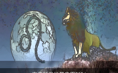 宠妻狂魔的星座男TOP4