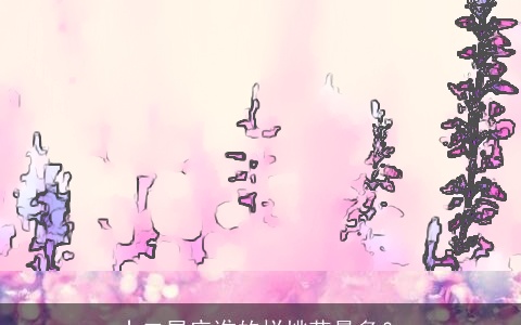 十二星座谁的烂桃花最多？