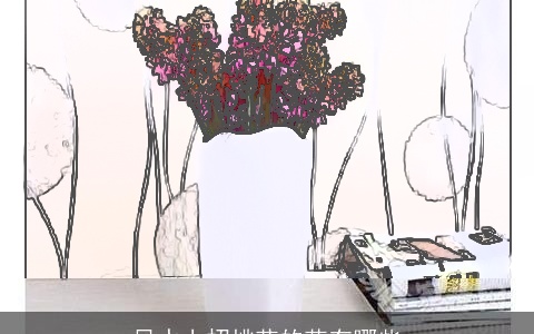 风水上招桃花的花有哪些