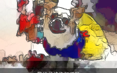 狗的忌讳你知道吗