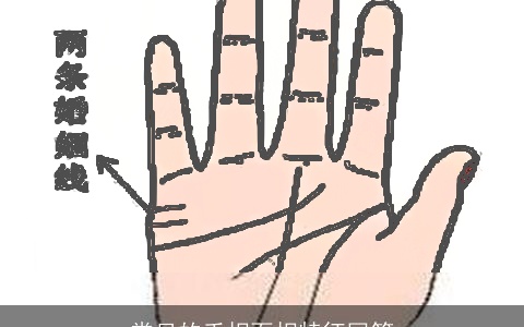 常见的手相面相特征回答