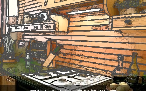 哪些东西放在厨房能够招桃花