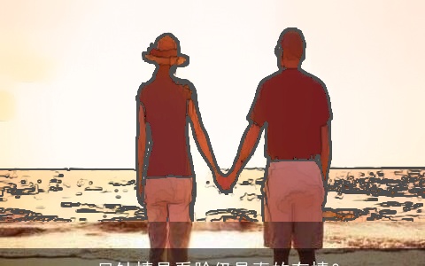 一见钟情是看脸仍是真的有情？