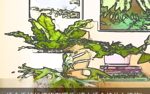 适合垂挂的植物有哪些(墙上适合挂什么植物)