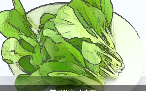 梦见吃熟的青菜