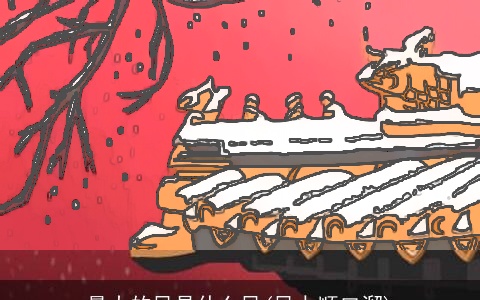 最大的风是什么风(风力顺口溜)