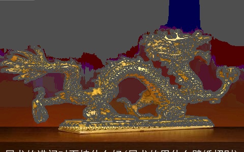 属龙的进门对面挂什么好(属龙的用什么壁纸招财)