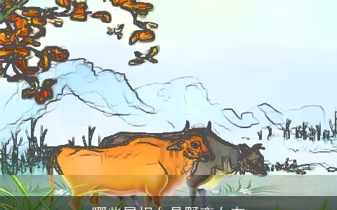 哪些属相女是野蛮女友