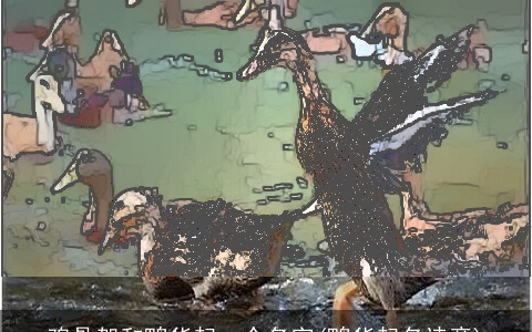 鸡骨架和鸭货起一个名字(鸭货起名诗意)