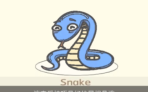 谈恋爱技巧最好的属相是谁