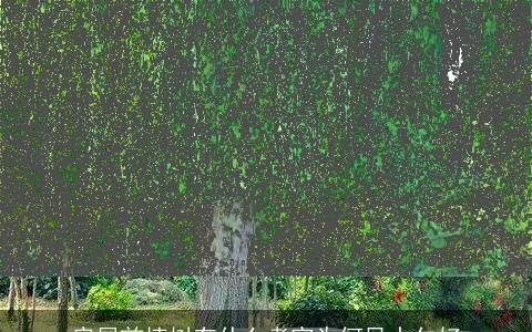 房屋前植树有什么考究为何风水欠好