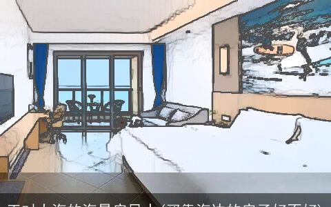 正对大海的海景房风水(买靠海边的房子好不好)