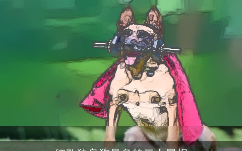 细数独身狗最多的三大属相