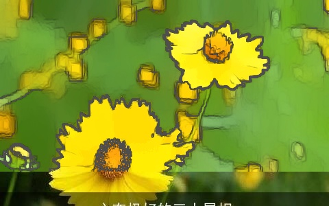 心态极好的三大属相