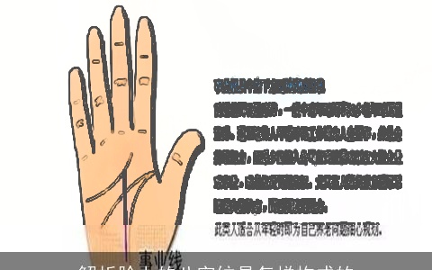 解析脸上的八字纹是怎样构成的