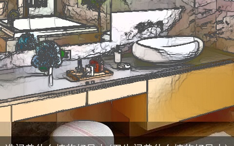 进门养什么植物好风水(卫生间养什么植物好风水)