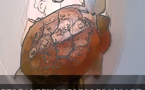 巴西龟是水龟还是陆龟(你养龟三年龟养你十年什么意思)