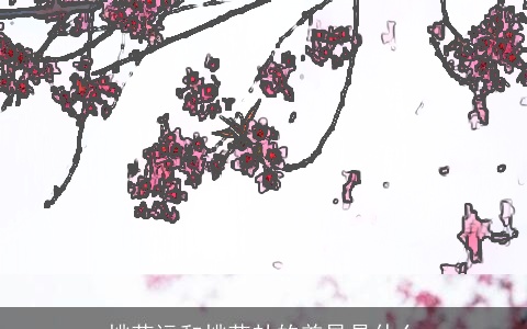 桃花运和桃花劫的差异是什么