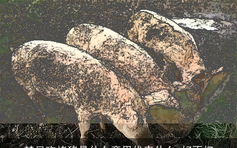 梦见吃烤猪是什么意思代表什么 好不好