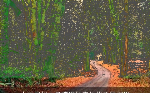 十二属相中最值得往来的优质属相男