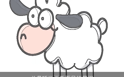 总是睡觉严重不足的属相