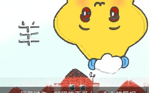 一旦受过伤，就很难再爱上一个人的属相