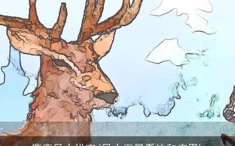 麋鹿风水讲究(风水五星看法和应用)