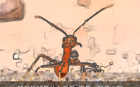 梦见蚯蚓是什么意思 它是一种佳兆吗