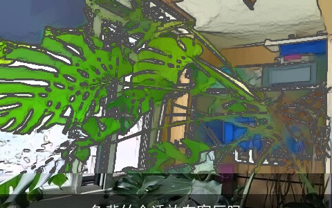 龟背竹合适放在客厅吗