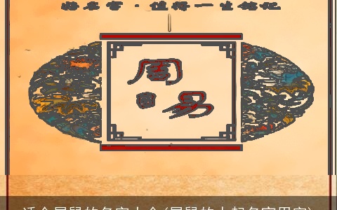 适合属鼠的名字大全(属鼠的人起名宜用字)