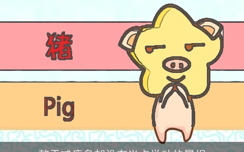 整天喊瘦身却没有半点举动的属相