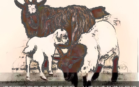 遇到困难喫苦劳累便是摧残，甘愿挑选躲避的属相