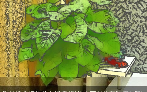 财位适合摆放什么绿植(财位上可以放两种植物吗)