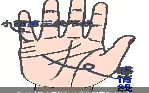 手相财气线三豹纹的意义富有手相图解