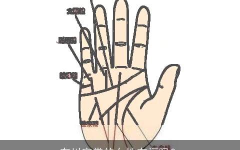 有川字掌的女性有福吗？