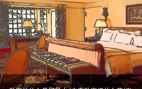 卧室放什么最好风水(夫妻卧室摆什么花好)