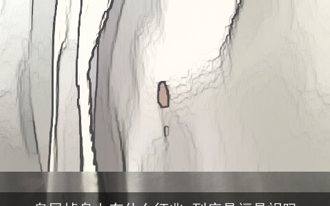 鸟屎掉身上有什么征兆 到底是福是祸吗